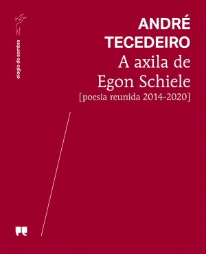 A axila de Egon Schiele