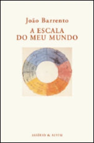A Escala do Meu Mundo