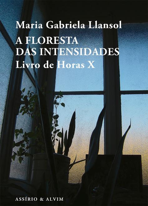 A Floresta das Intensidades