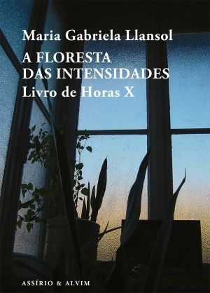 A Floresta das Intensidades