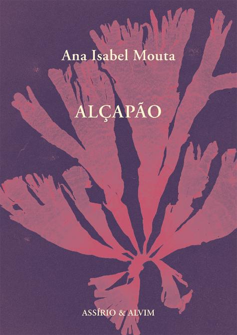 Alçapão