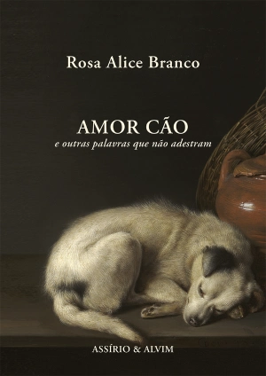 Amor Cão e outras palavras que não adestram