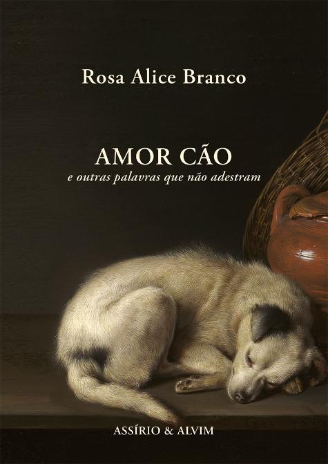 Amor Cão e outras palavras que não adestram