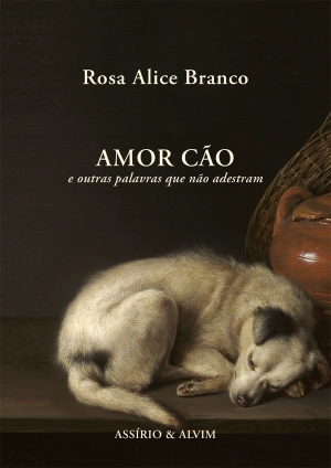 Amor Cão e outras palavras que não adestram