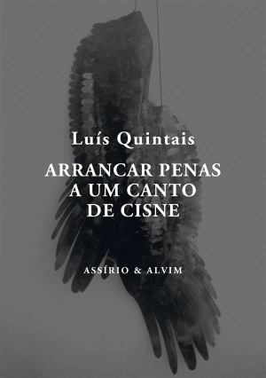Arrancar Penas a um Canto de Cisne