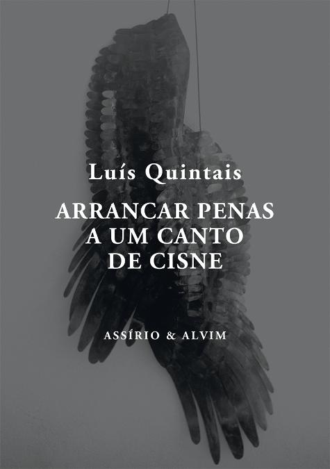 Arrancar Penas a um Canto de Cisne