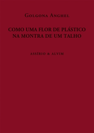 Como Uma Flor de Plástico na Montra de um Talho