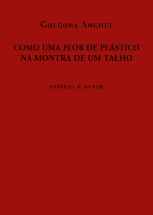 Como Uma Flor de Plástico na Montra de um Talho