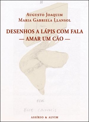 Desenhos a Lápis com Fala - Amar um Cão