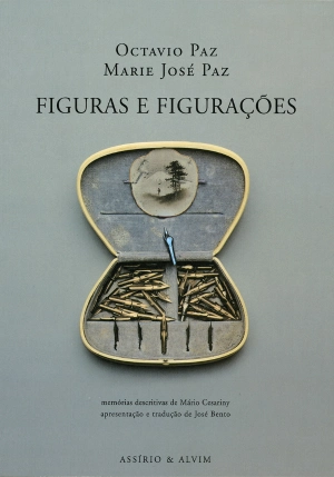 Figuras e Figurações
