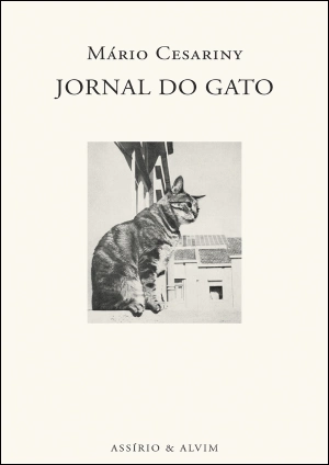 Jornal do Gato