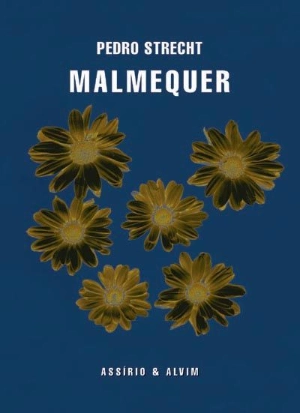 Malmequer