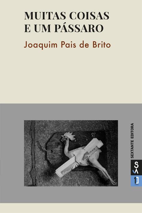 Muitas Coisas e um pássaro