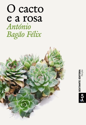 O cacto e a rosa