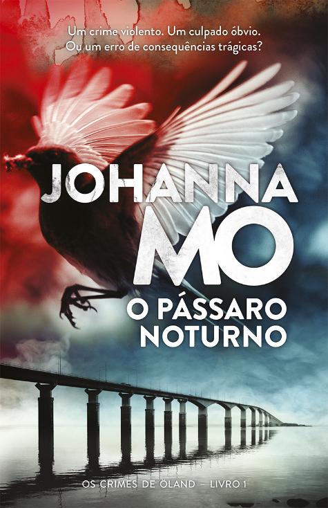 O pássaro noturno