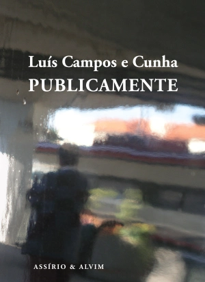 Publicamente