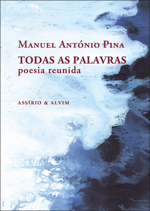 Todas as Palavras