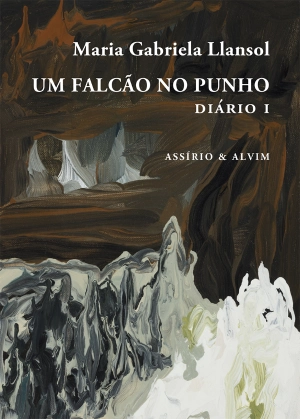 Um Falcão no Punho