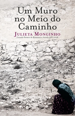 Um Muro no Meio do Caminho