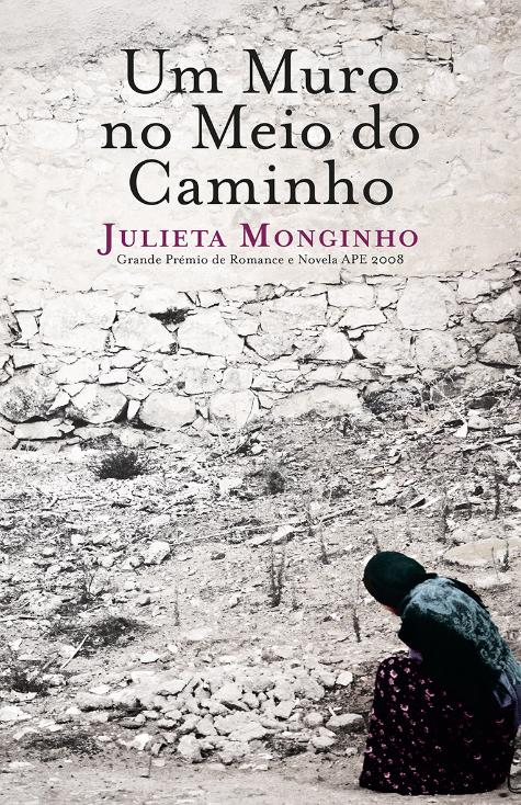 Um Muro no Meio do Caminho