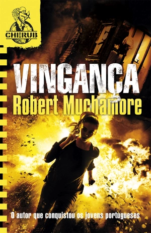 Vingança
